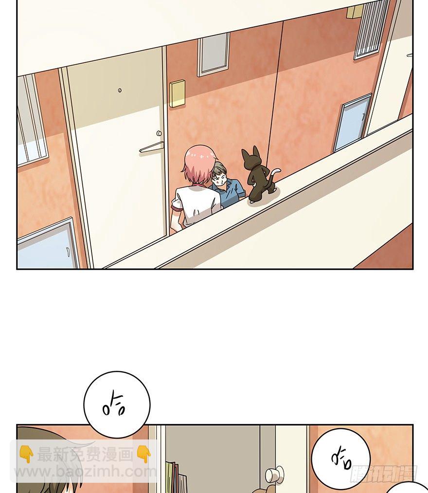 《回到过去变成猫外传》第118爪 杀回大本营（上） 第18页