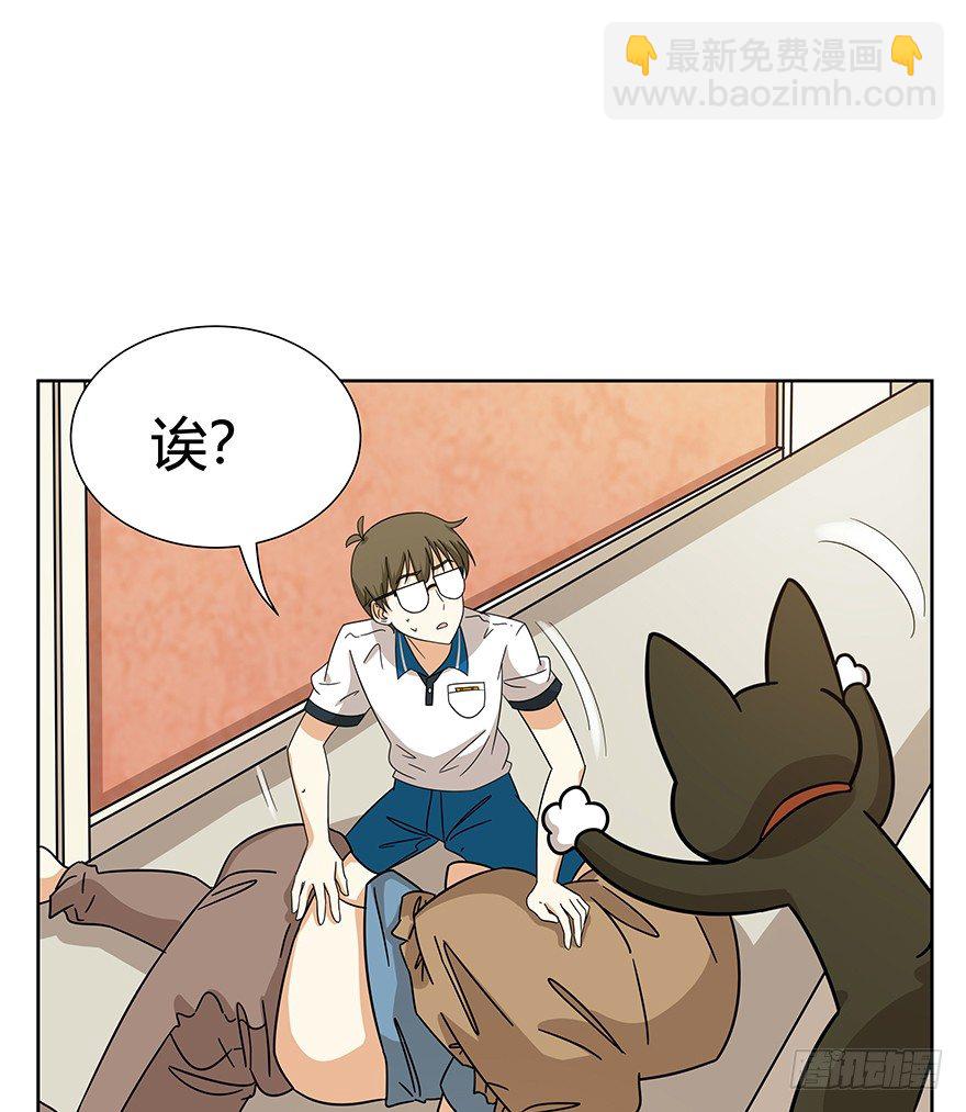 《回到过去变成猫外传》第118爪 杀回大本营（上） 第4页