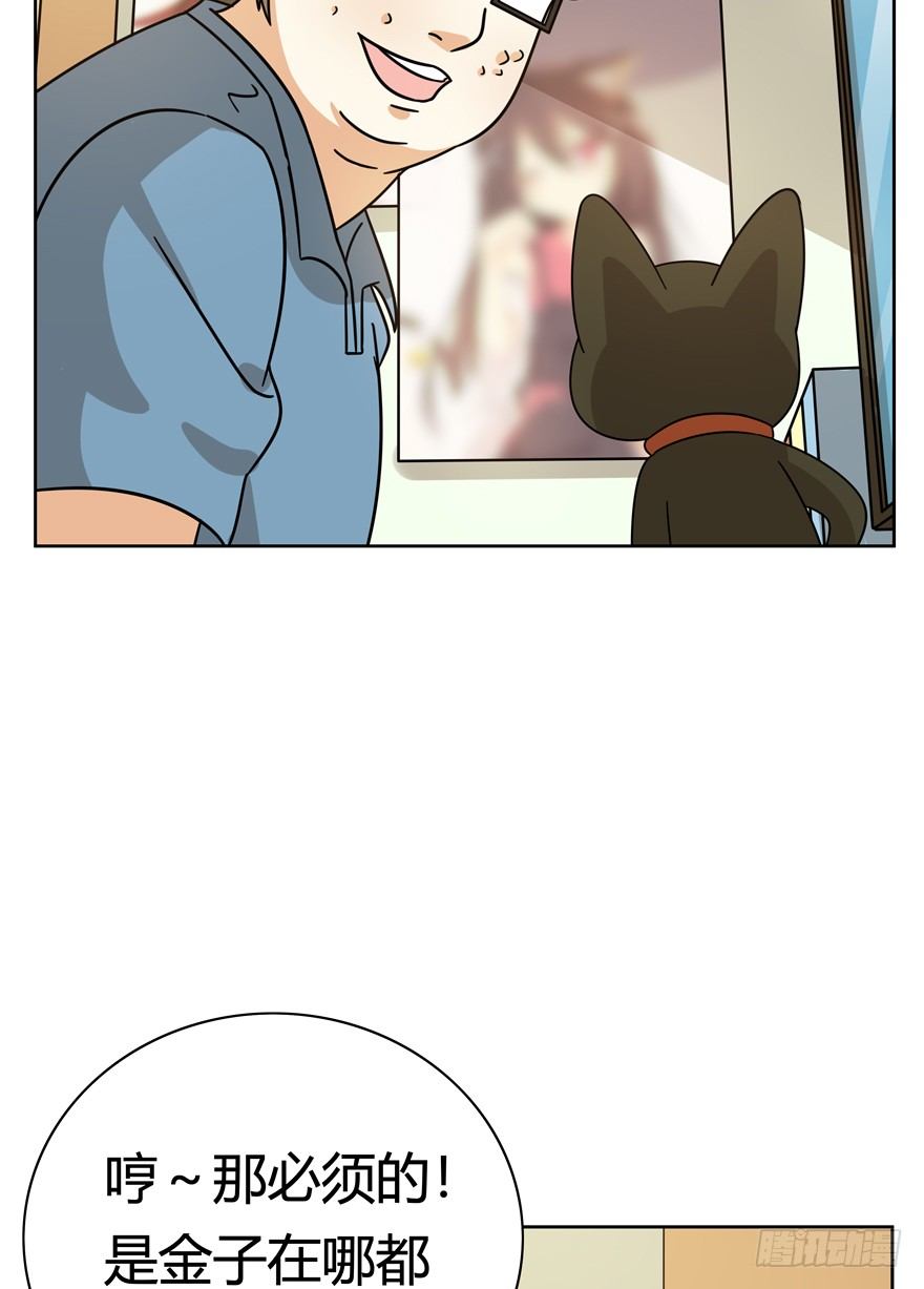 《回到过去变成猫外传》第116爪 意外成名（下） 第11页
