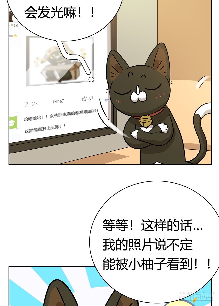 《回到过去变成猫外传》第116爪 意外成名（下） 第12页