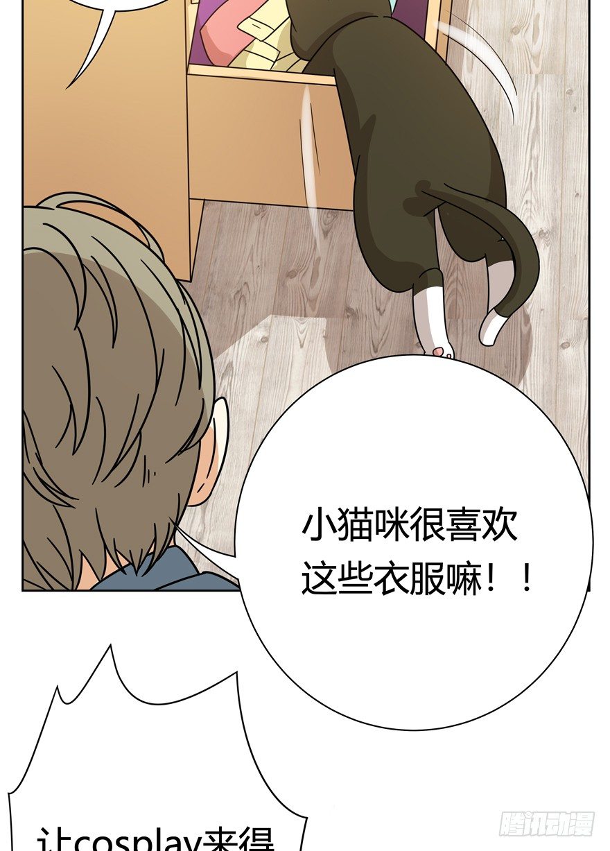 《回到过去变成猫外传》第116爪 意外成名（下） 第14页