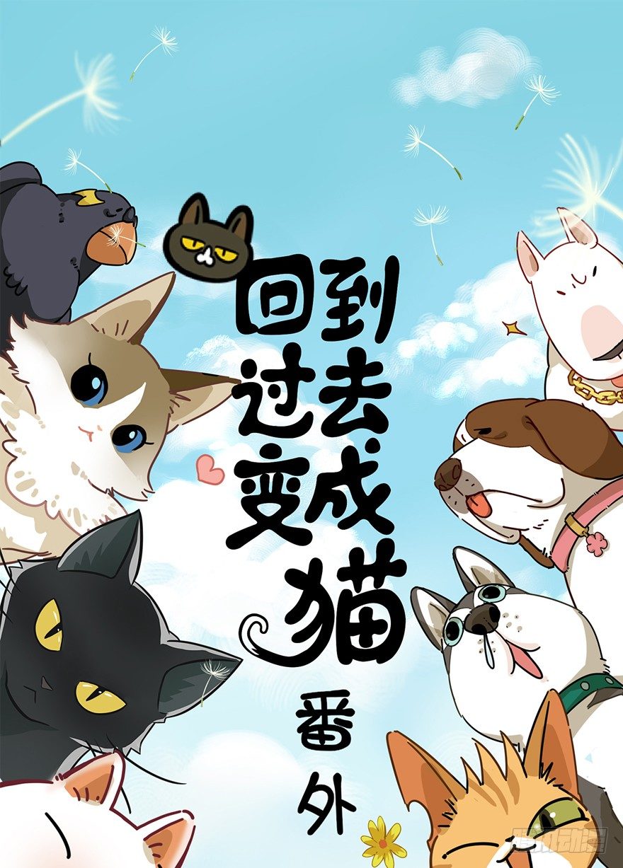 《回到过去变成猫外传》第116爪 意外成名（下） 第1页