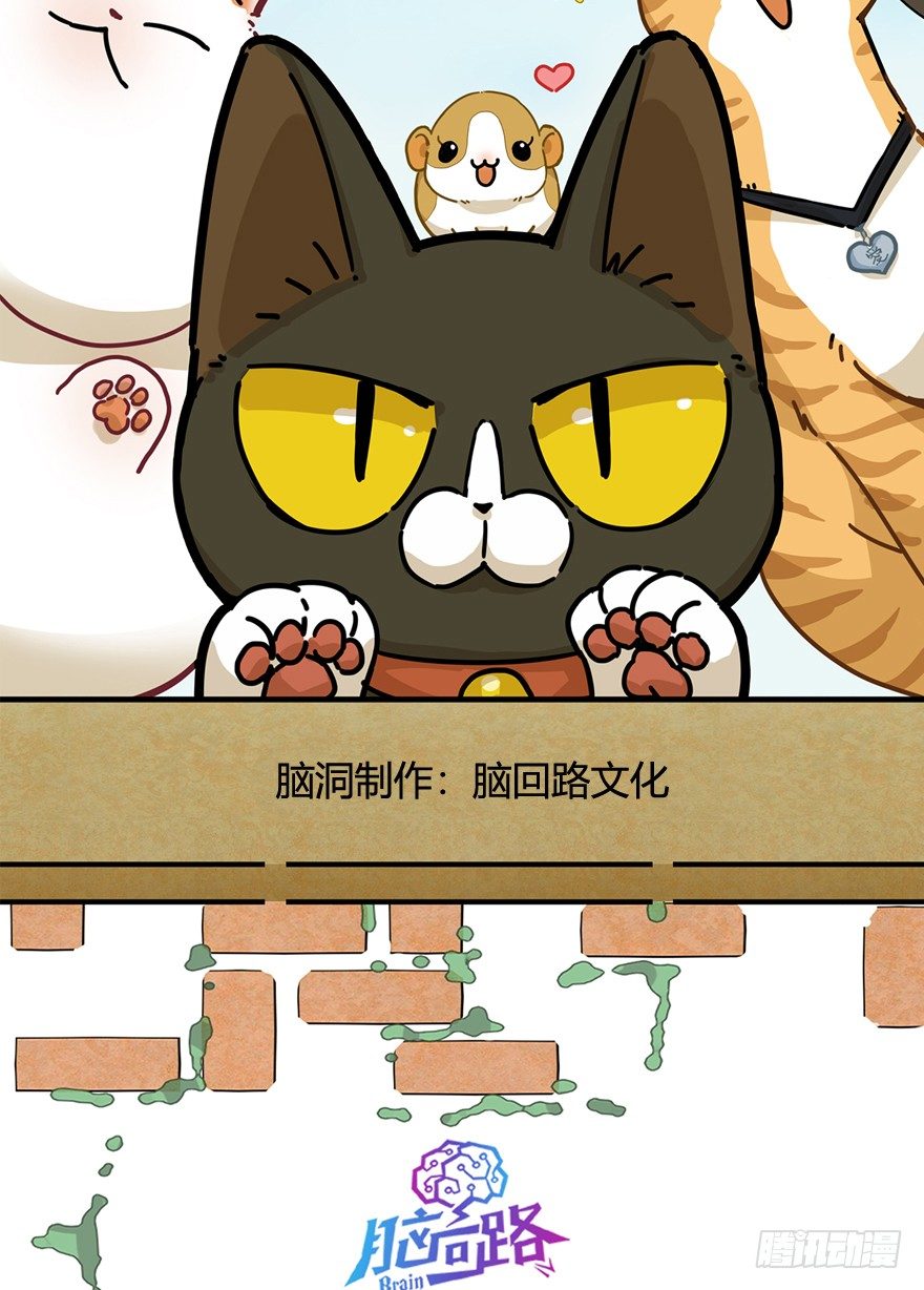 《回到过去变成猫外传》第116爪 意外成名（下） 第2页