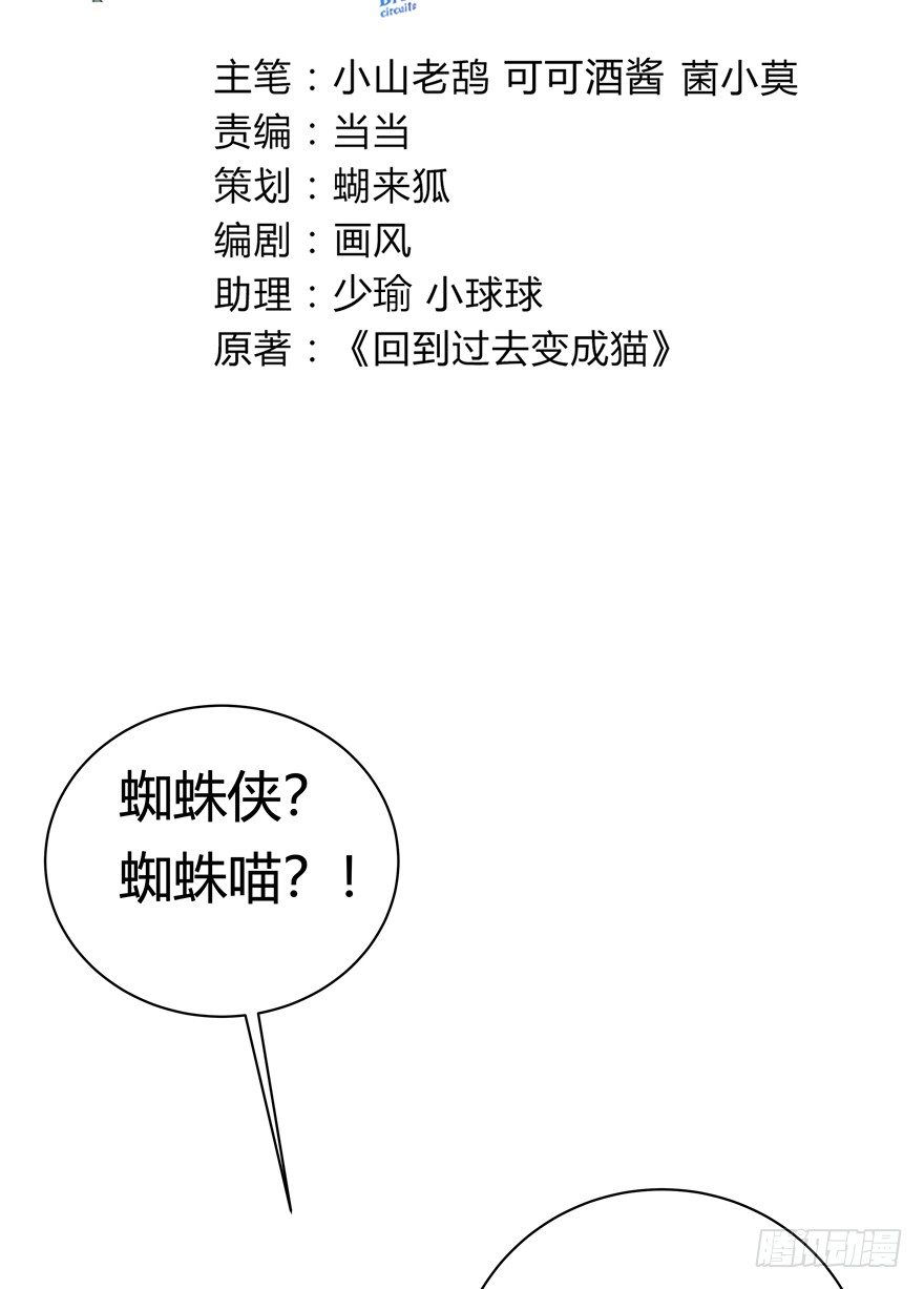 《回到过去变成猫外传》第116爪 意外成名（下） 第3页