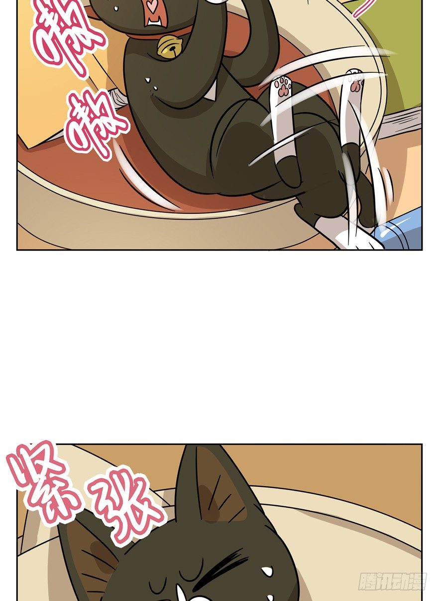 《回到过去变成猫外传》第115爪 意外成名（上） 第10页