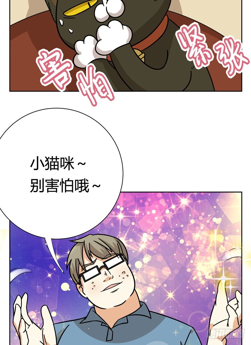 《回到过去变成猫外传》第115爪 意外成名（上） 第11页