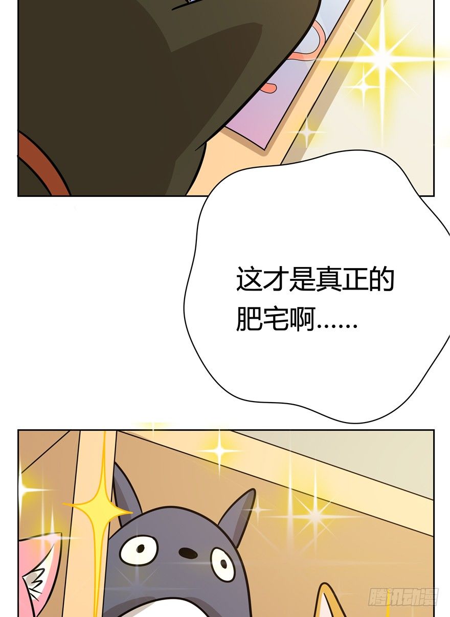 《回到过去变成猫外传》第115爪 意外成名（上） 第14页