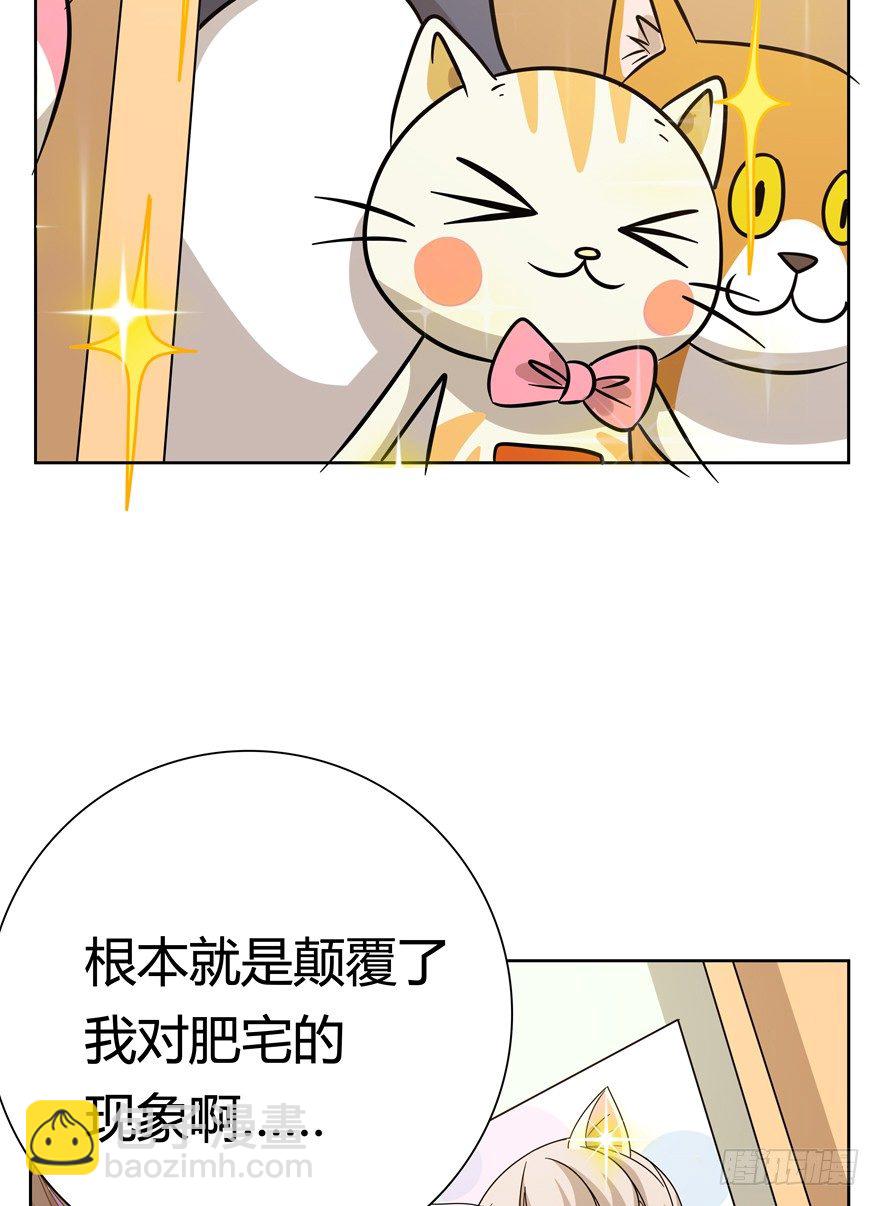 《回到过去变成猫外传》第115爪 意外成名（上） 第15页