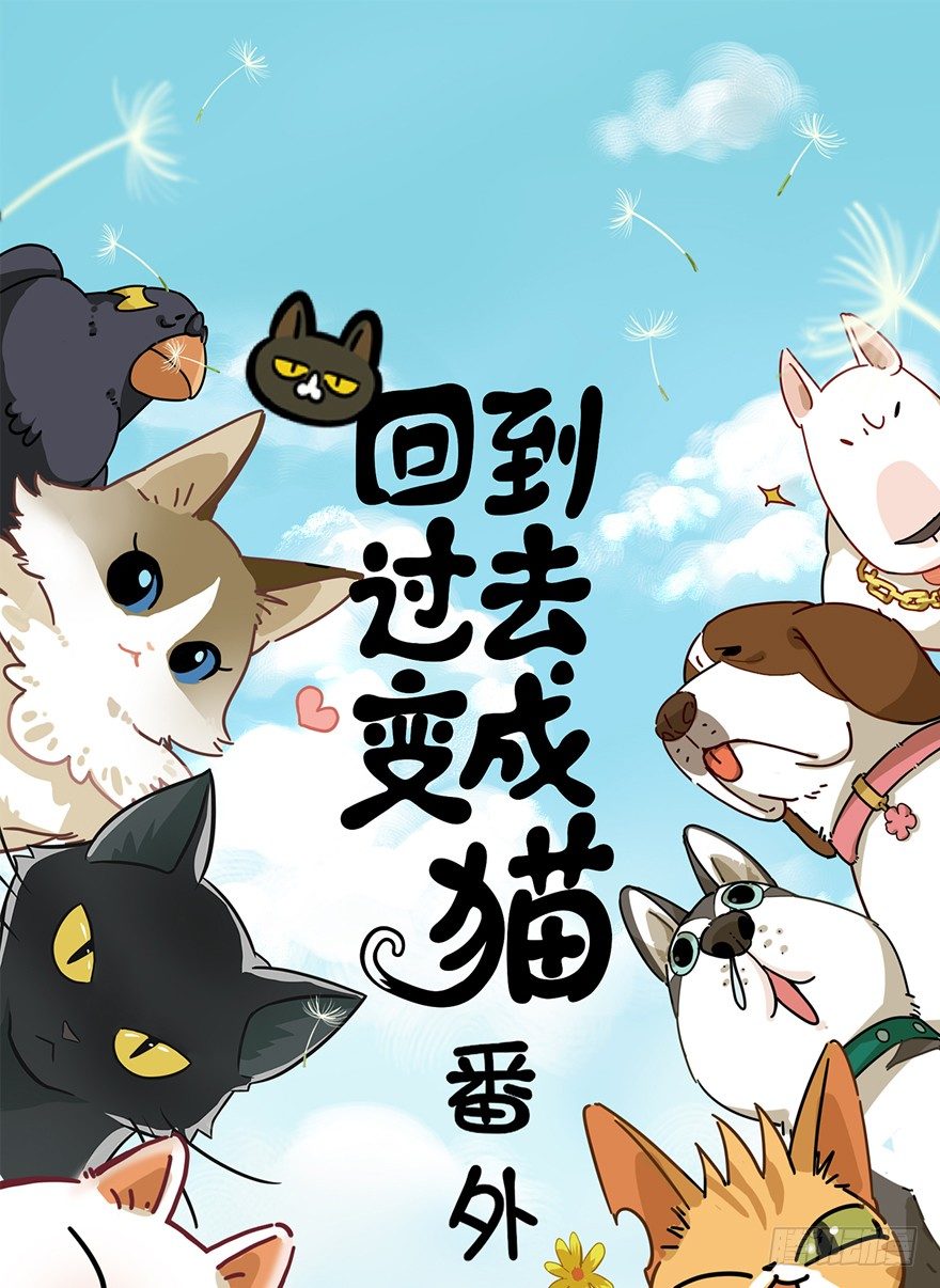 《回到过去变成猫外传》第115爪 意外成名（上） 第1页