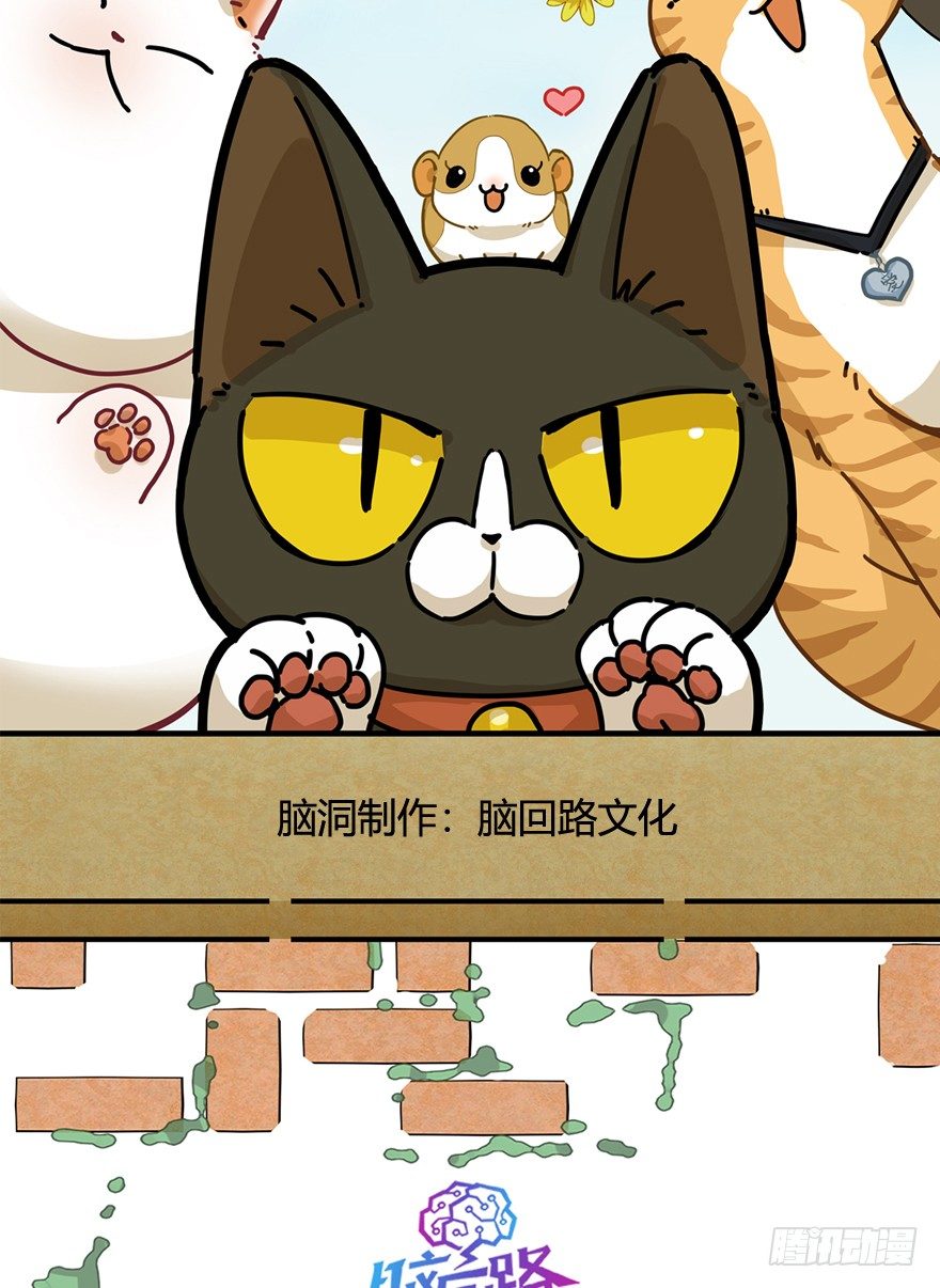 《回到过去变成猫外传》第115爪 意外成名（上） 第2页