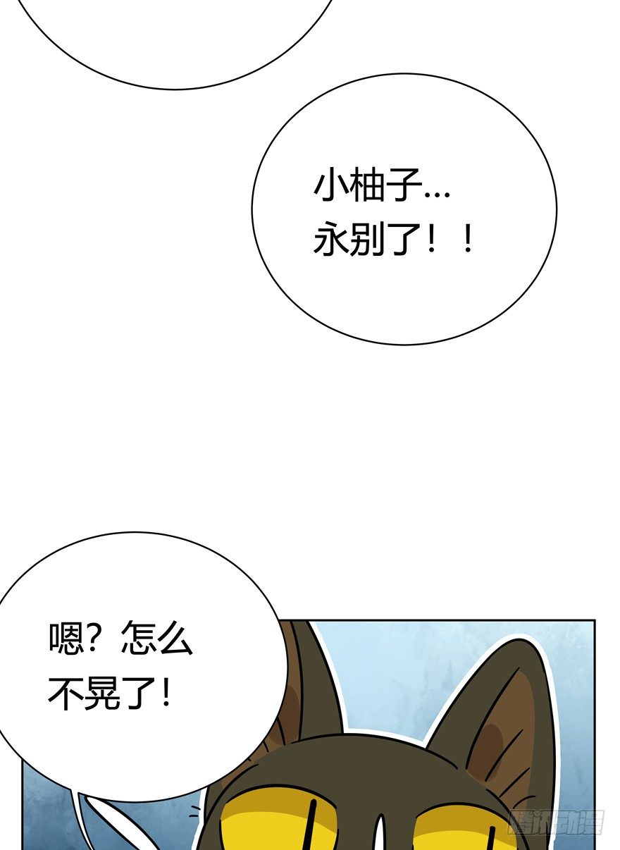 《回到过去变成猫外传》第115爪 意外成名（上） 第7页