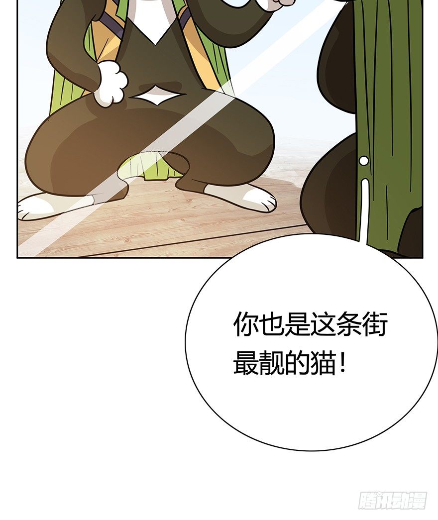 《回到过去变成猫外传》第117爪 误会 第15页