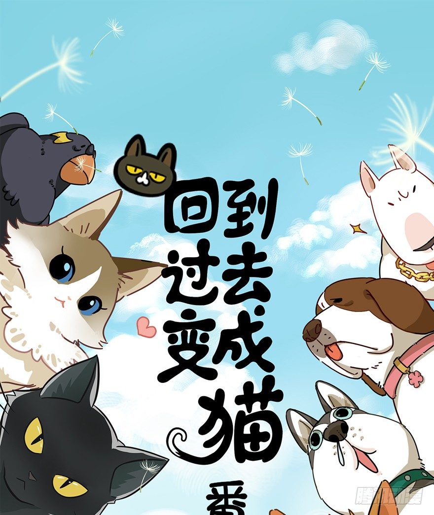 《回到过去变成猫外传》第117爪 误会 第1页