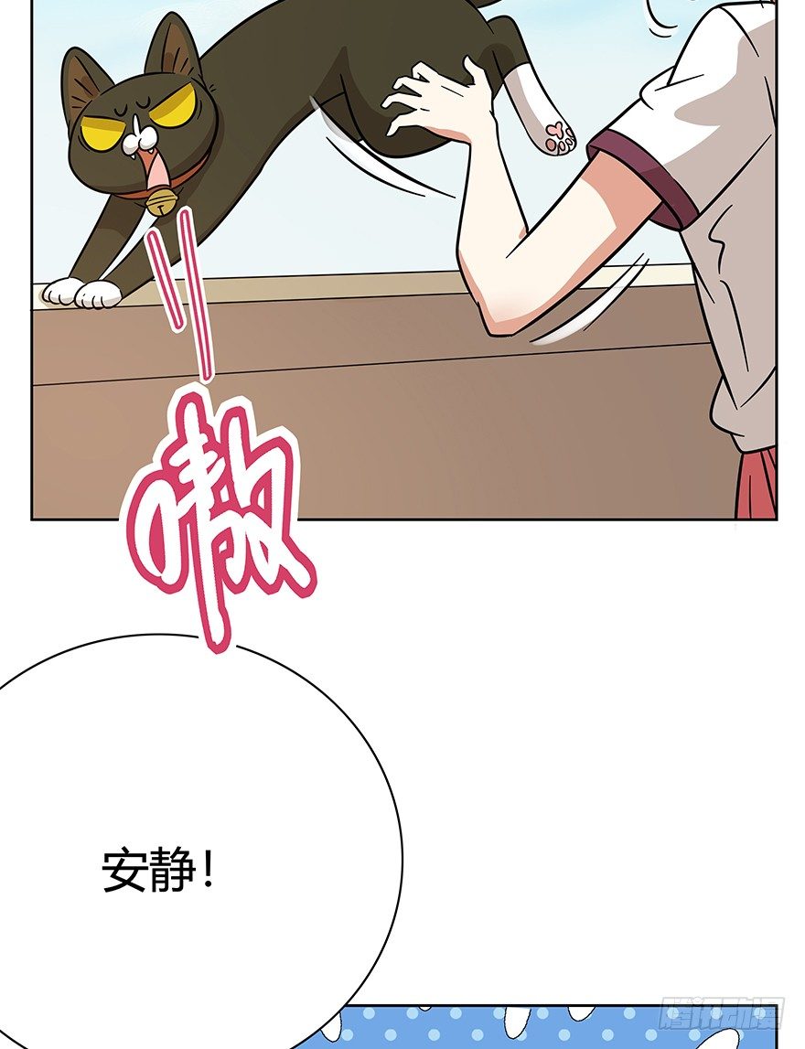 《回到过去变成猫外传》第117爪 误会 第35页