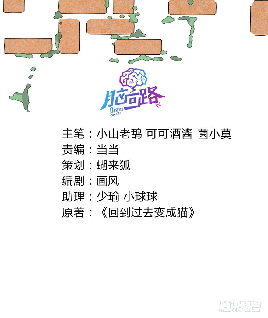 《回到过去变成猫外传》第117爪 误会 第3页