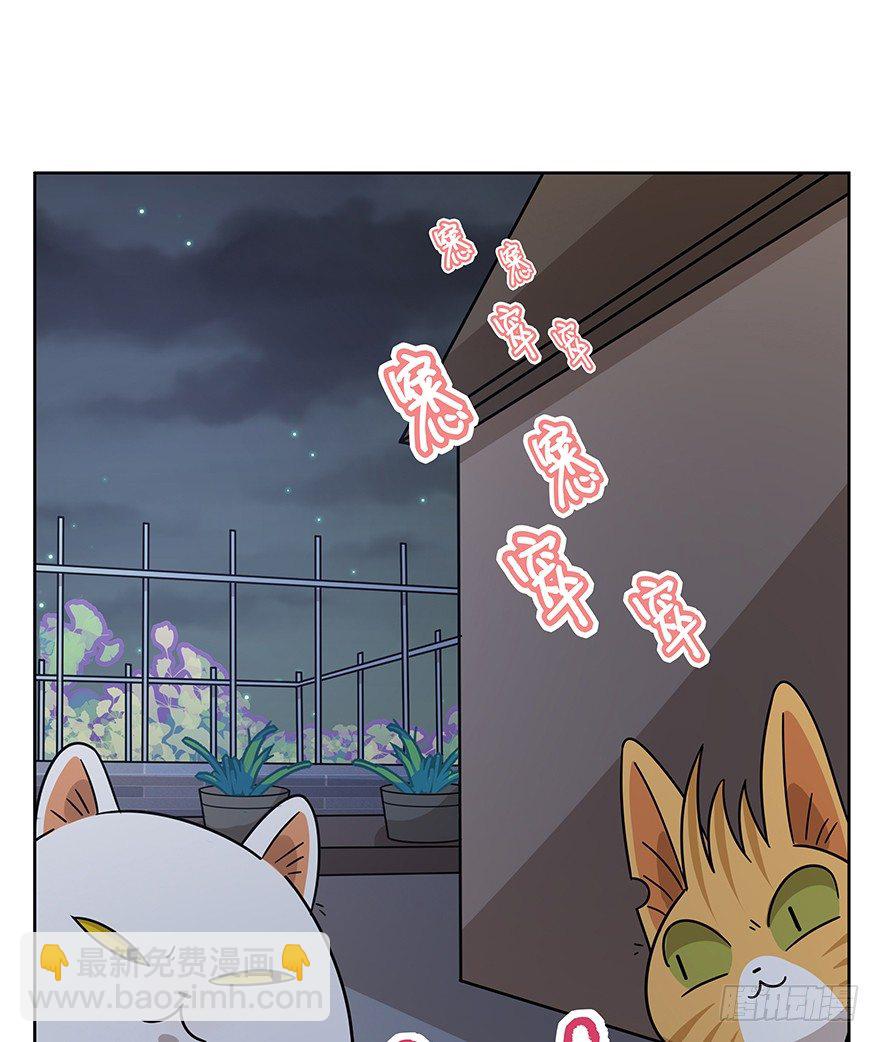《回到过去变成猫外传》第120话 回马枪（上） 第12页