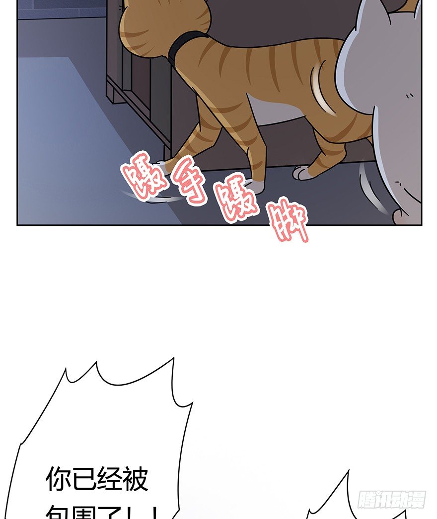 《回到过去变成猫外传》第120话 回马枪（上） 第14页