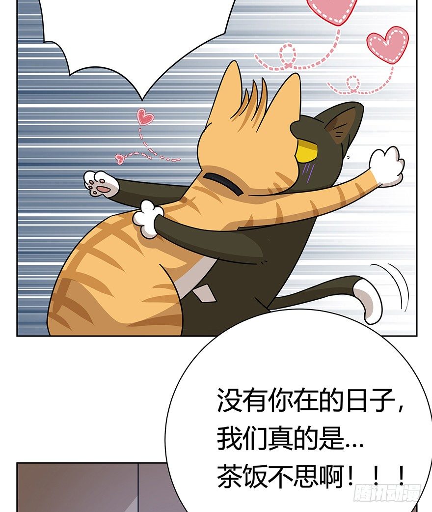 《回到过去变成猫外传》第120话 回马枪（上） 第18页