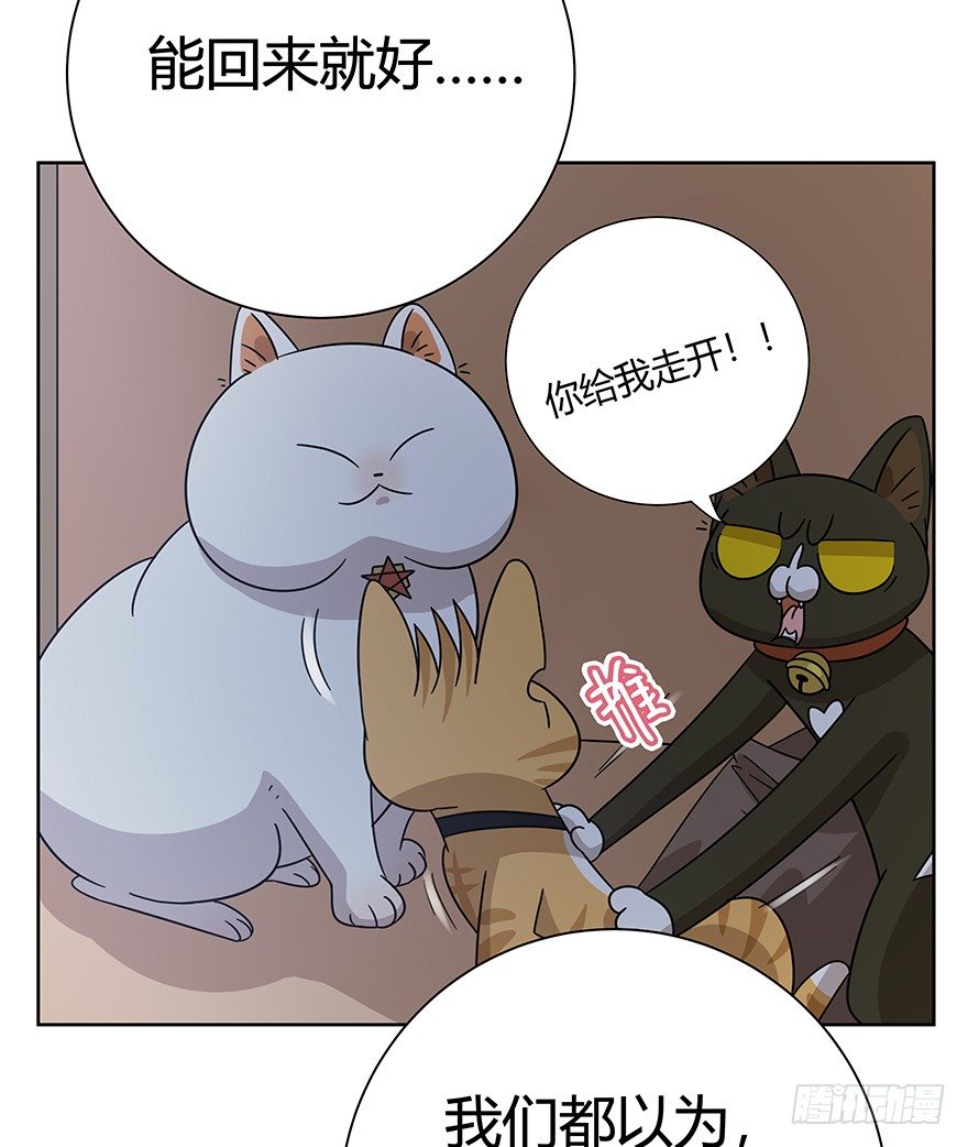 《回到过去变成猫外传》第120话 回马枪（上） 第20页