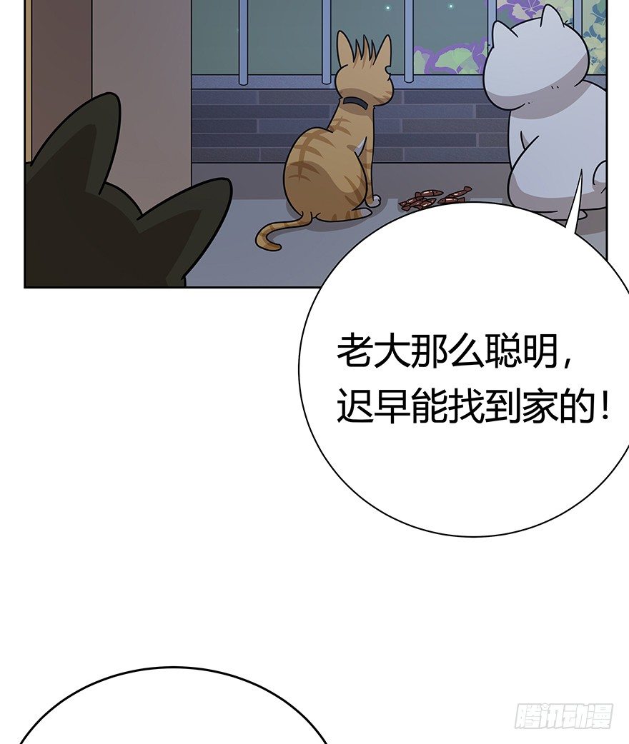 《回到过去变成猫外传》第120话 回马枪（上） 第6页