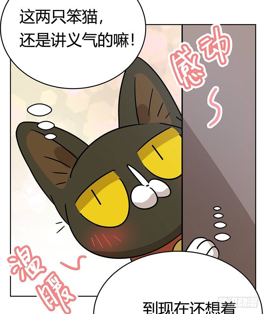 《回到过去变成猫外传》第120话 回马枪（上） 第7页