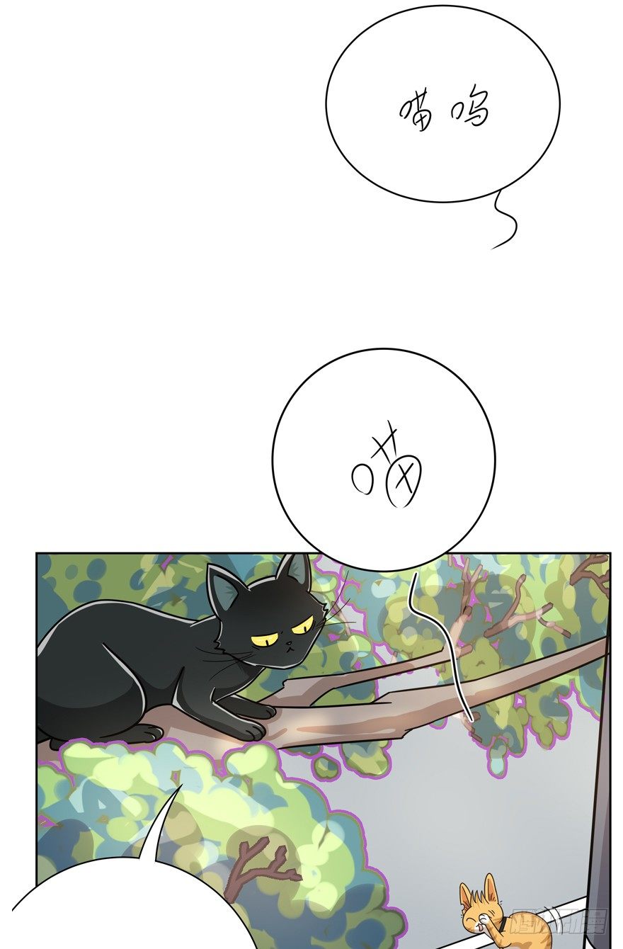 《回到过去变成猫外传》第121爪 回马枪（下） 第10页