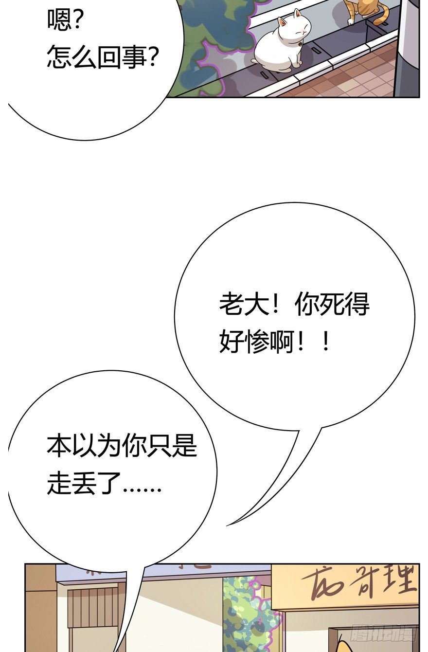 《回到过去变成猫外传》第121爪 回马枪（下） 第11页