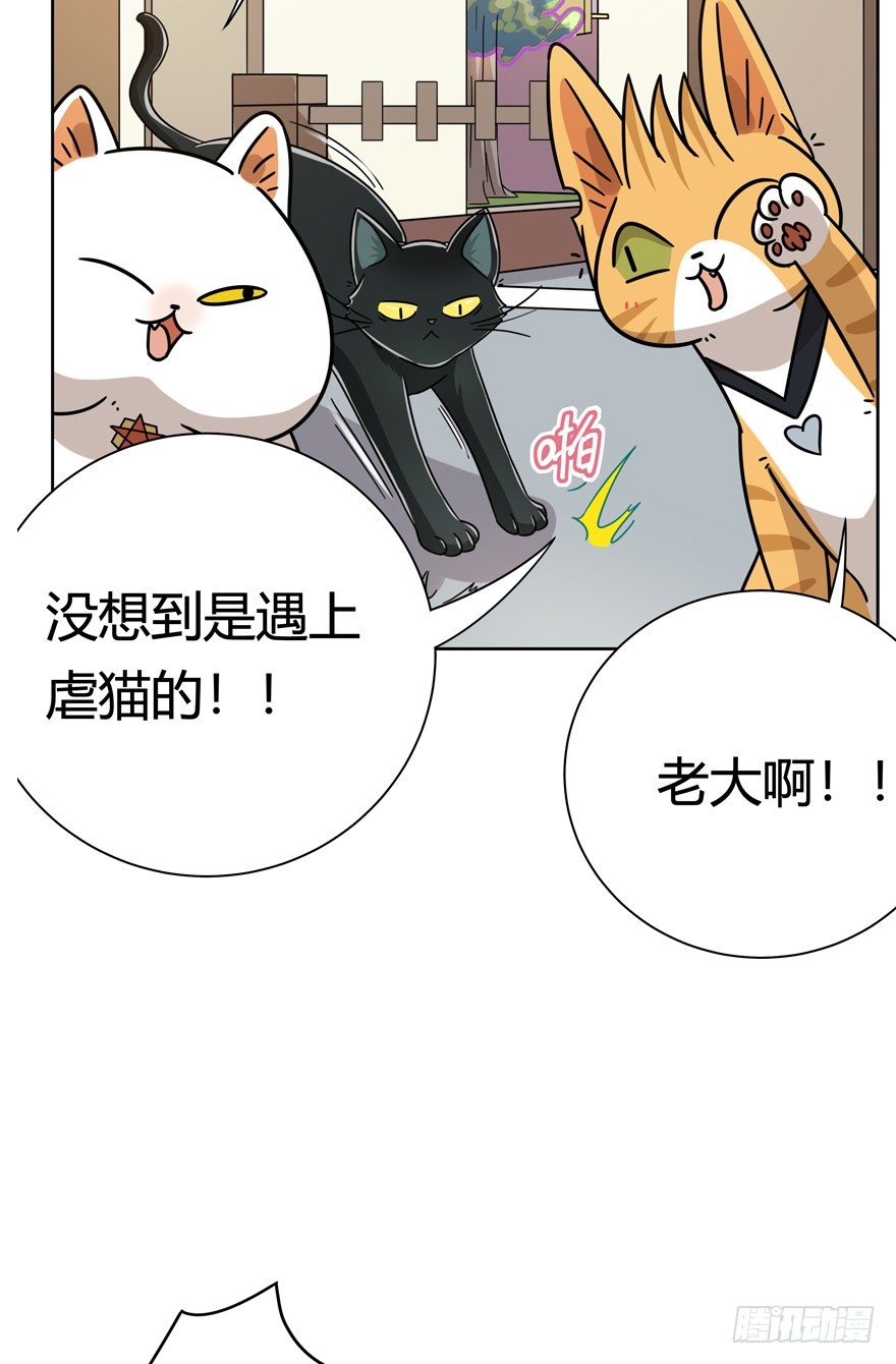 《回到过去变成猫外传》第121爪 回马枪（下） 第12页