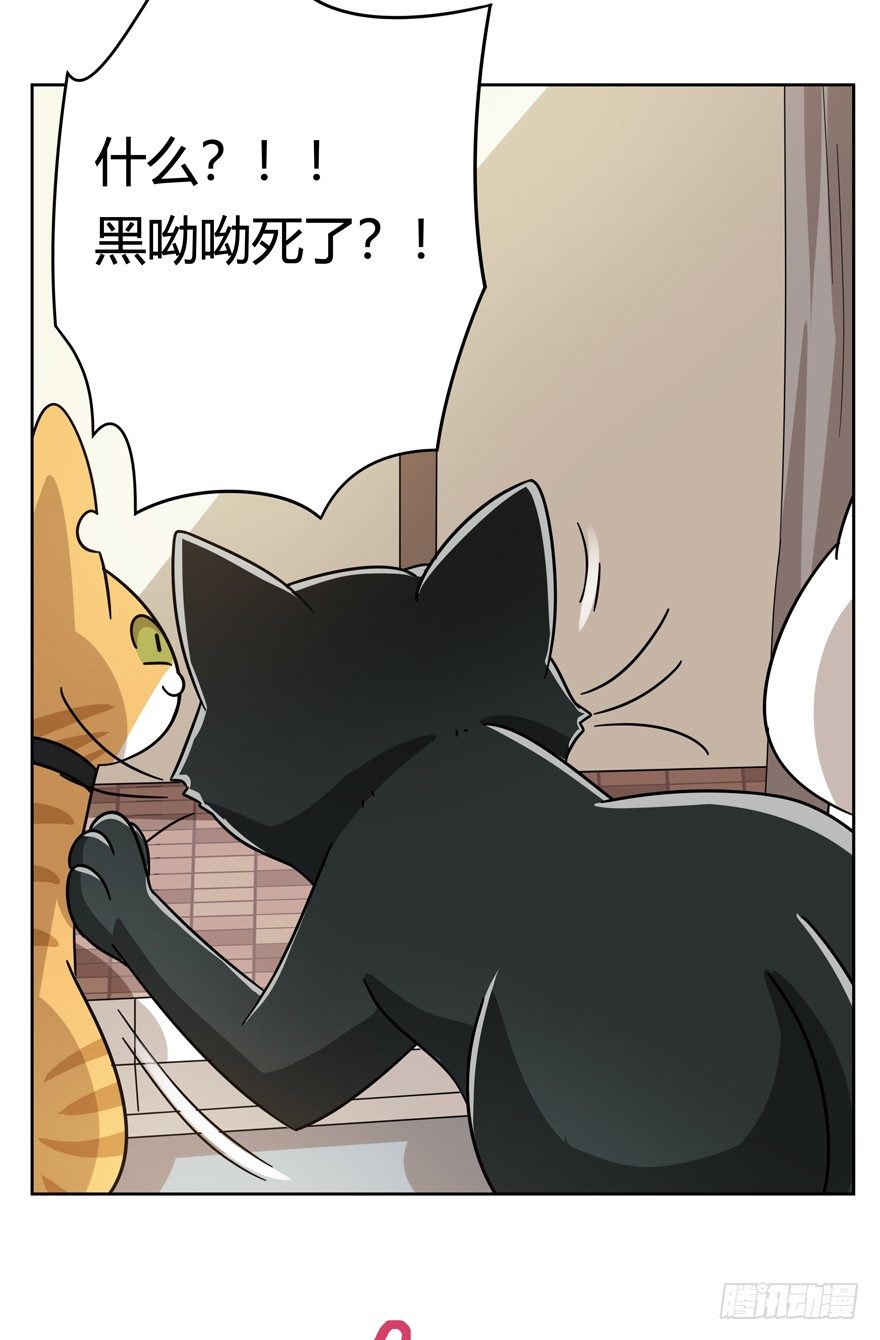 《回到过去变成猫外传》第121爪 回马枪（下） 第13页