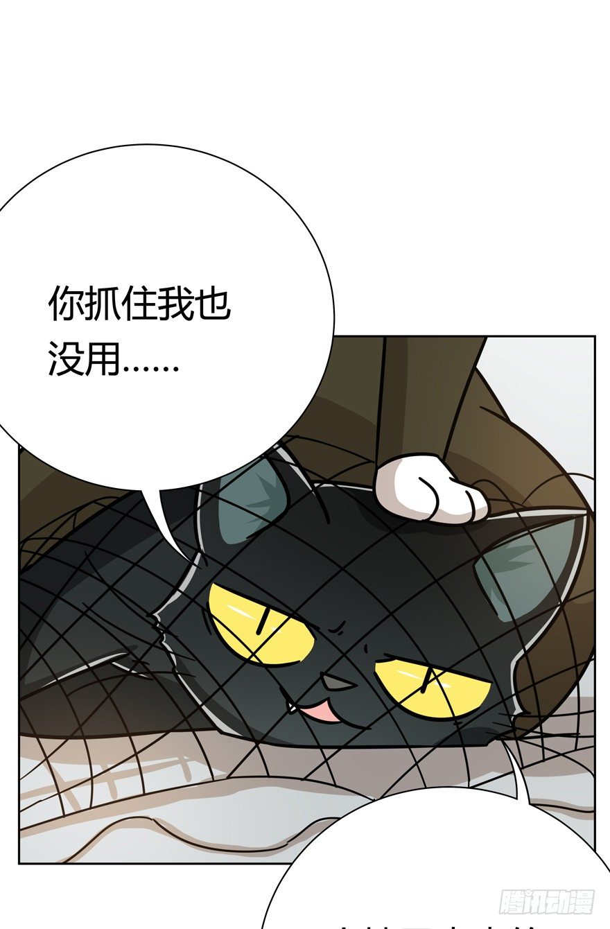 《回到过去变成猫外传》第121爪 回马枪（下） 第19页