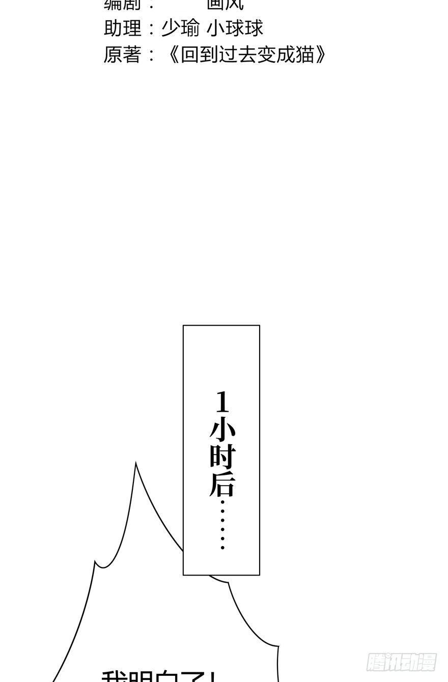 《回到过去变成猫外传》第121爪 回马枪（下） 第3页