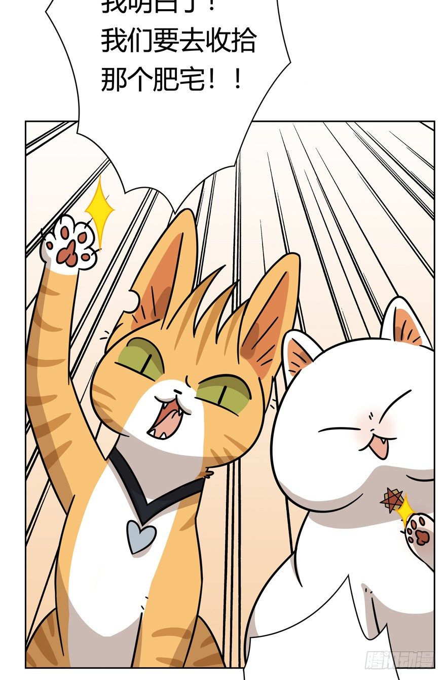 《回到过去变成猫外传》第121爪 回马枪（下） 第4页