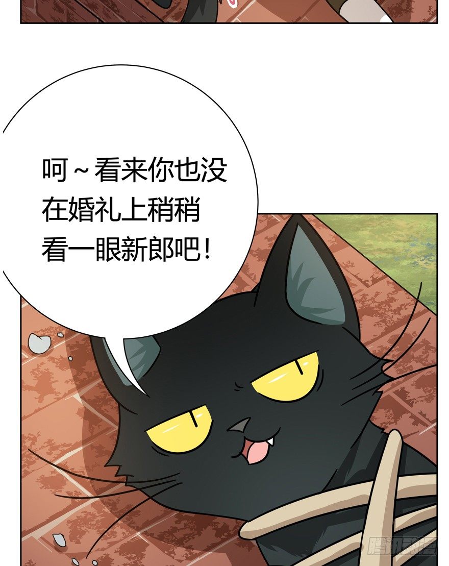 《回到过去变成猫外传》第122爪 未来的新郎（上） 第19页