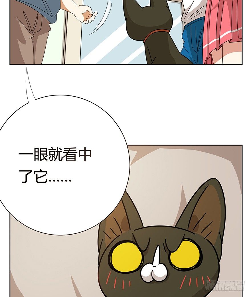 《回到过去变成猫外传》第119话 杀回大本营（下） 第13页