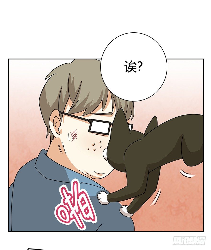 《回到过去变成猫外传》第119话 杀回大本营（下） 第15页