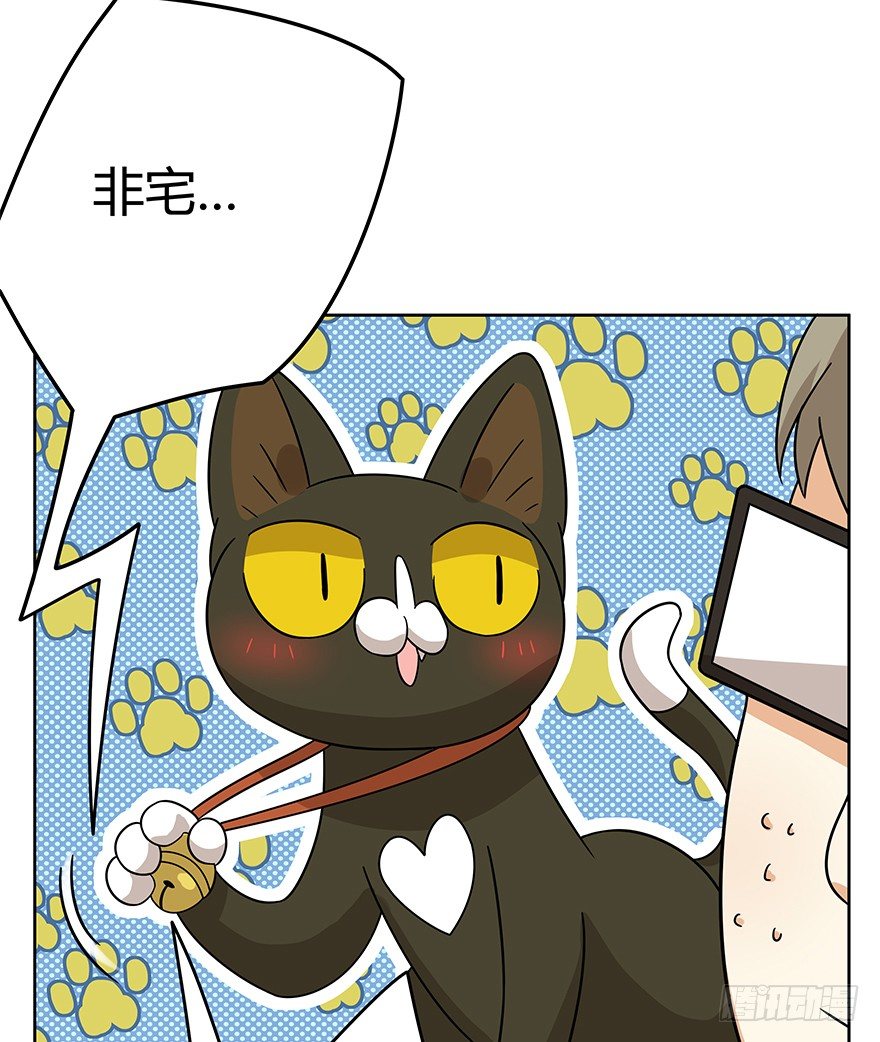 《回到过去变成猫外传》第119话 杀回大本营（下） 第16页