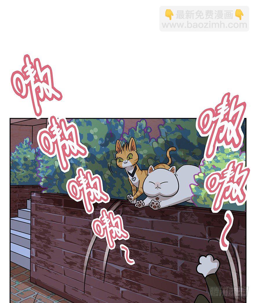 《回到过去变成猫外传》第126话 绝地反击（上） 第11页