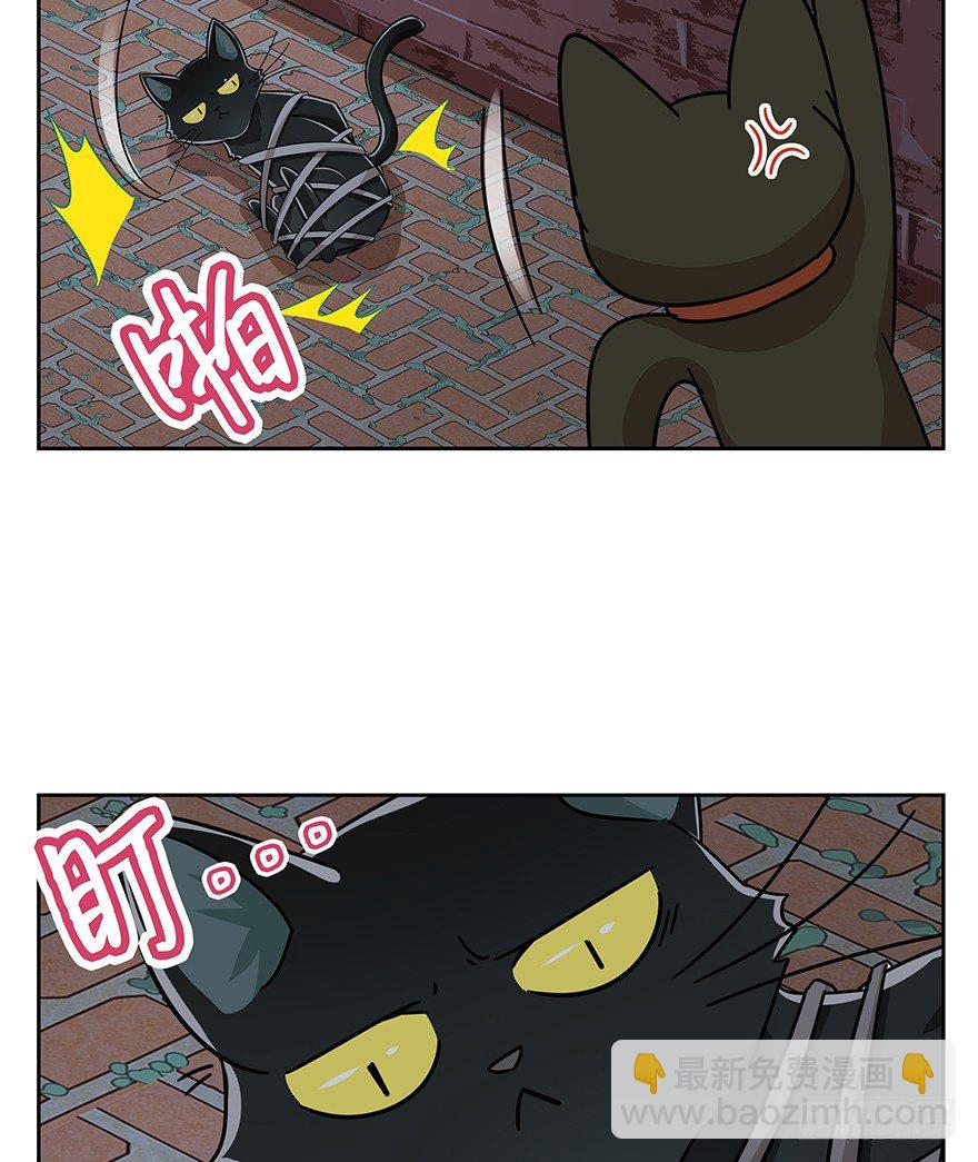 《回到过去变成猫外传》第126话 绝地反击（上） 第12页