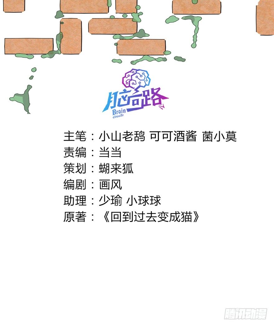 《回到过去变成猫外传》第126话 绝地反击（上） 第3页