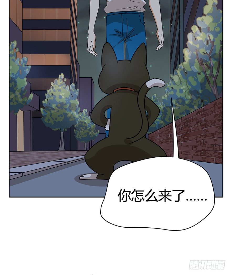 《回到过去变成猫外传》第126话 绝地反击（上） 第7页