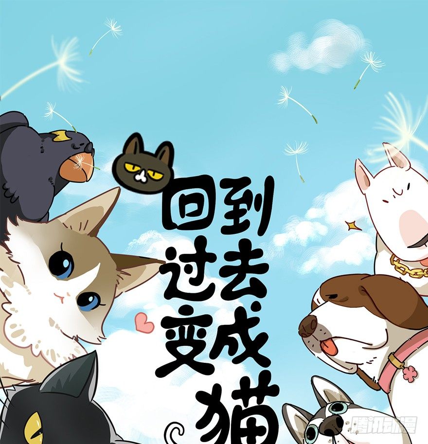 《回到过去变成猫外传》第124话 逃跑（下） 第1页