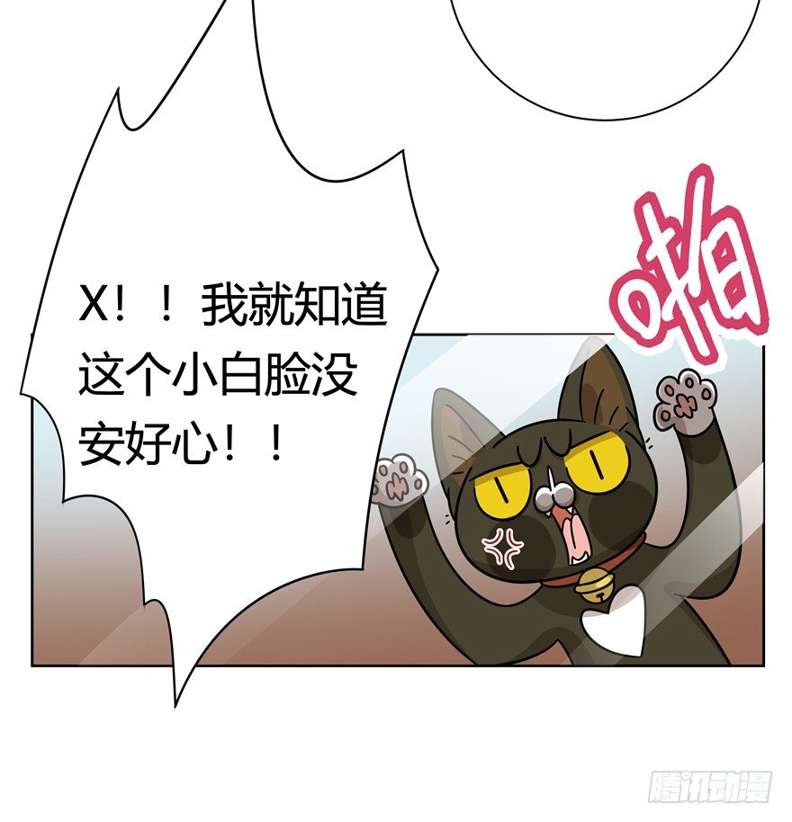 《回到过去变成猫外传》第124话 逃跑（下） 第23页