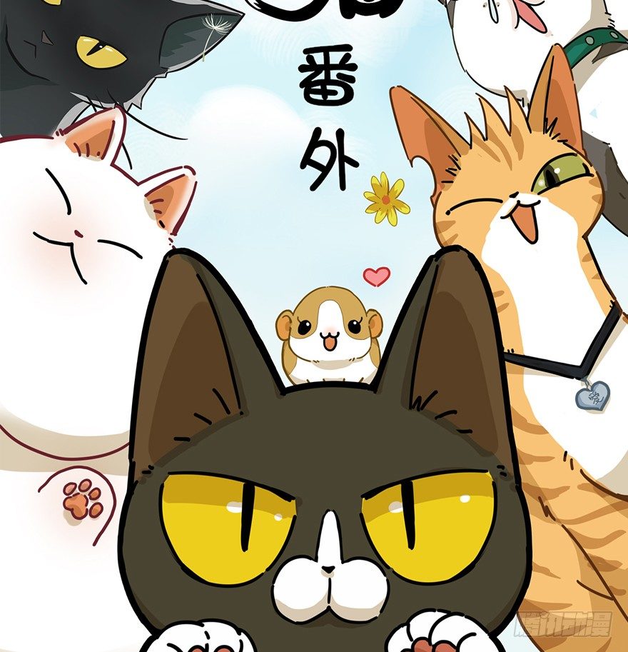 《回到过去变成猫外传》第124话 逃跑（下） 第2页