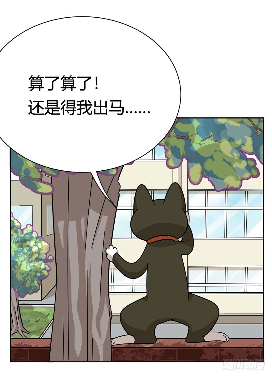《回到过去变成猫外传》第123爪 未来的新郎（下） 第18页