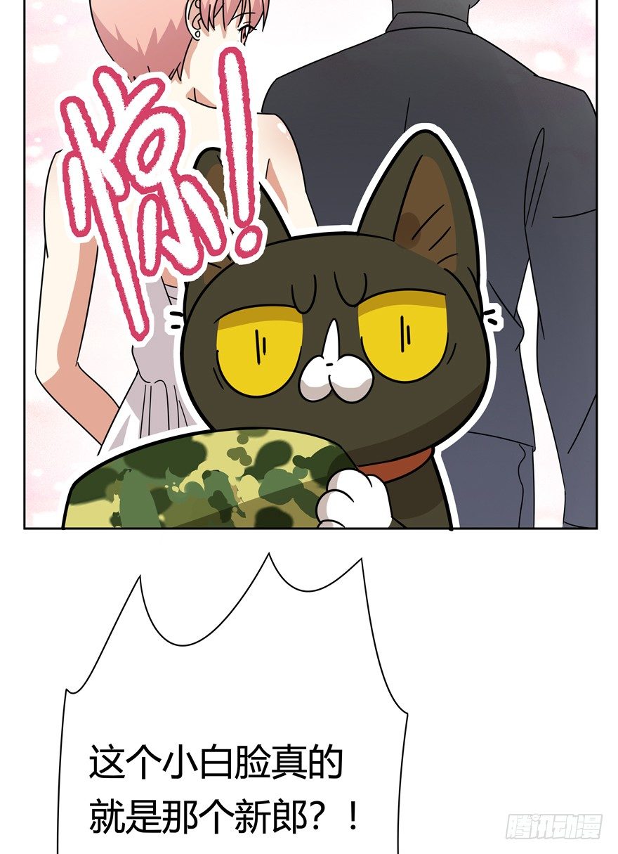 《回到过去变成猫外传》第123爪 未来的新郎（下） 第4页