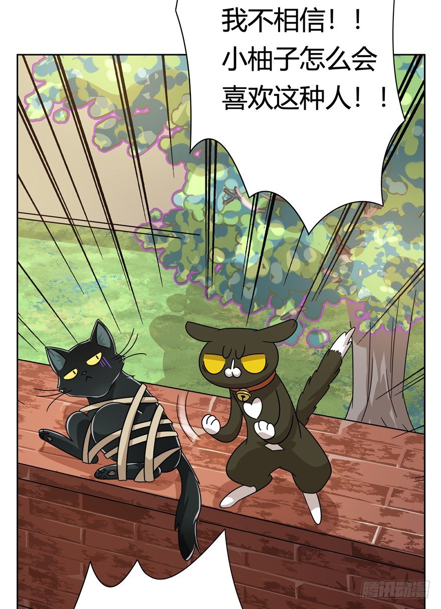 《回到过去变成猫外传》第123爪 未来的新郎（下） 第6页
