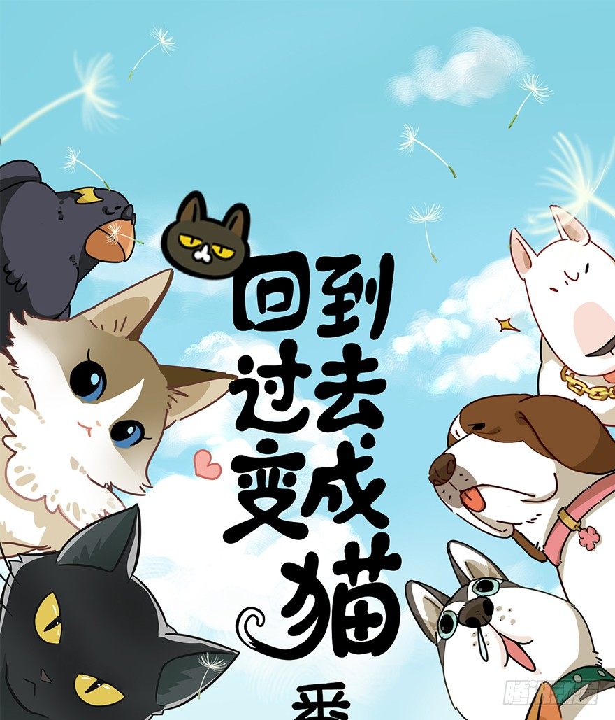 《回到过去变成猫外传》第130爪 婚礼 第1页