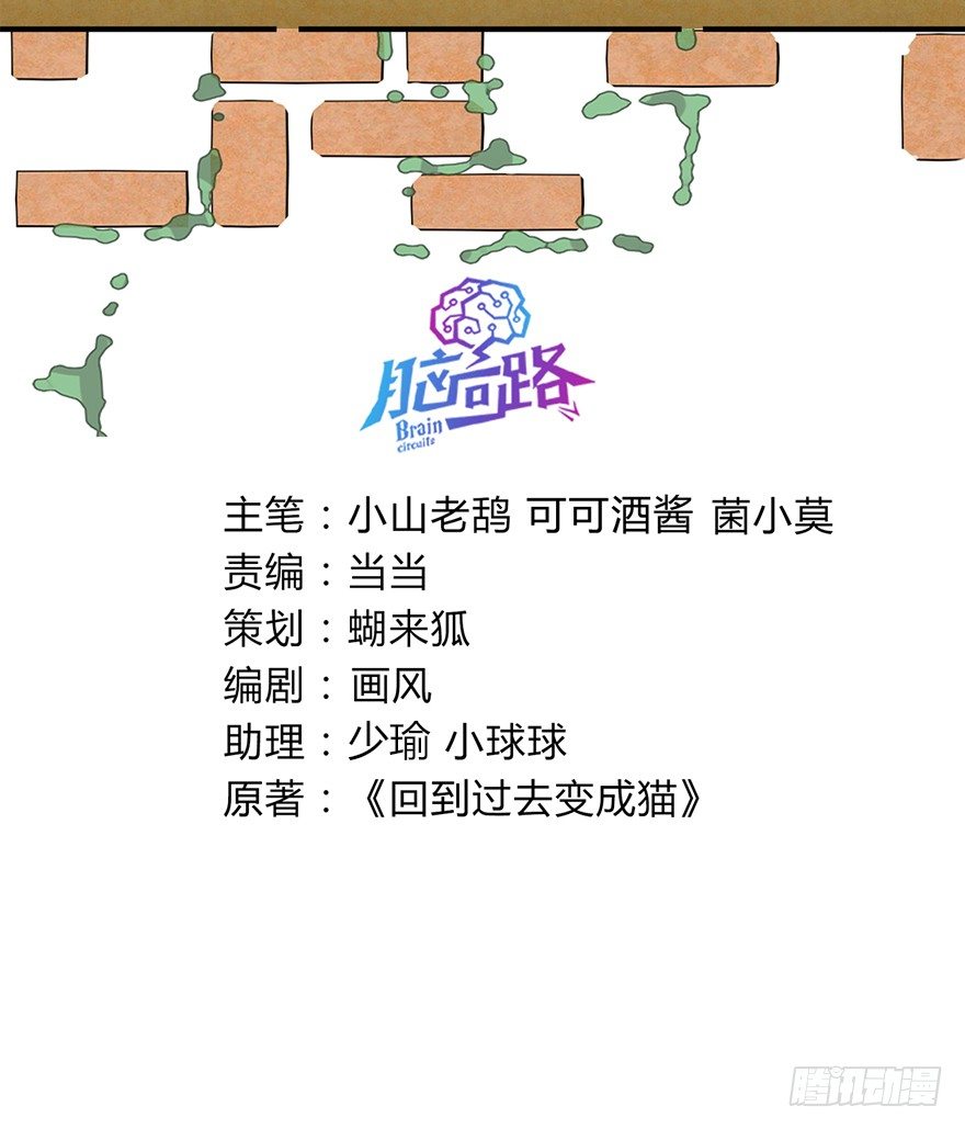 《回到过去变成猫外传》第130爪 婚礼 第3页