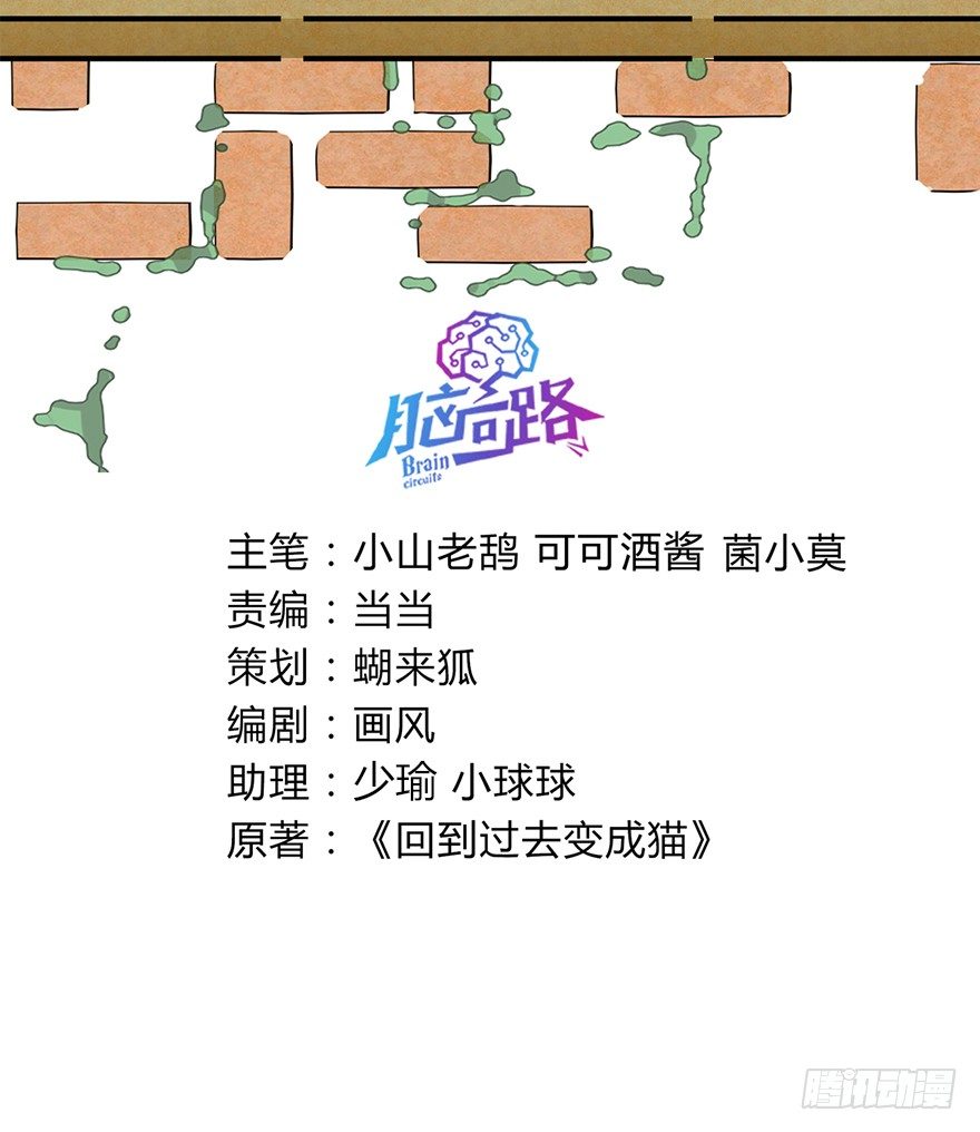 《回到过去变成猫外传》第129爪 人总是会成长的（下） 第3页