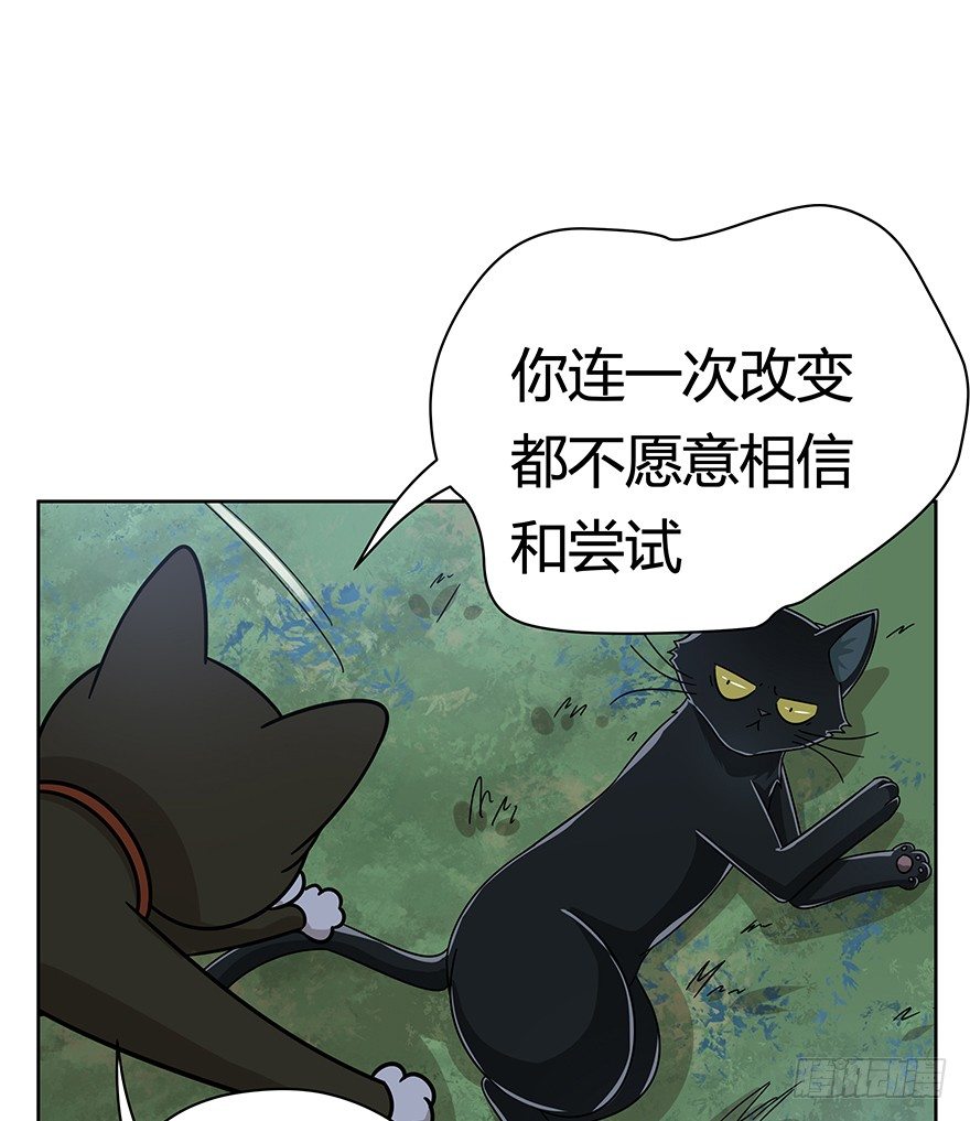 《回到过去变成猫外传》第129爪 人总是会成长的（下） 第4页